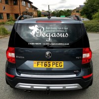 vinyl graphics